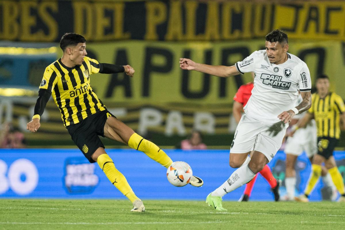 VIDEO | Peñaol luchó pero no consiguió el milagro y Botafogo jugará la final