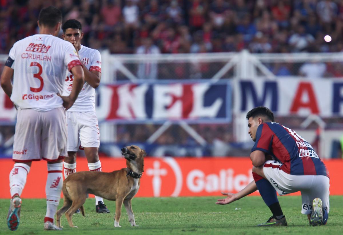 VIDEO | San Lorenzo sigue sin ganar y su gente se impacienta